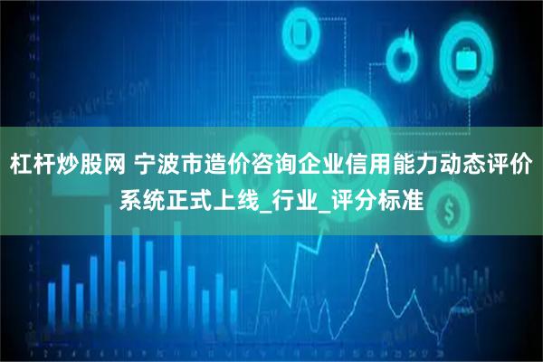 杠杆炒股网 宁波市造价咨询企业信用能力动态评价系统正式上线_行业_评分标准
